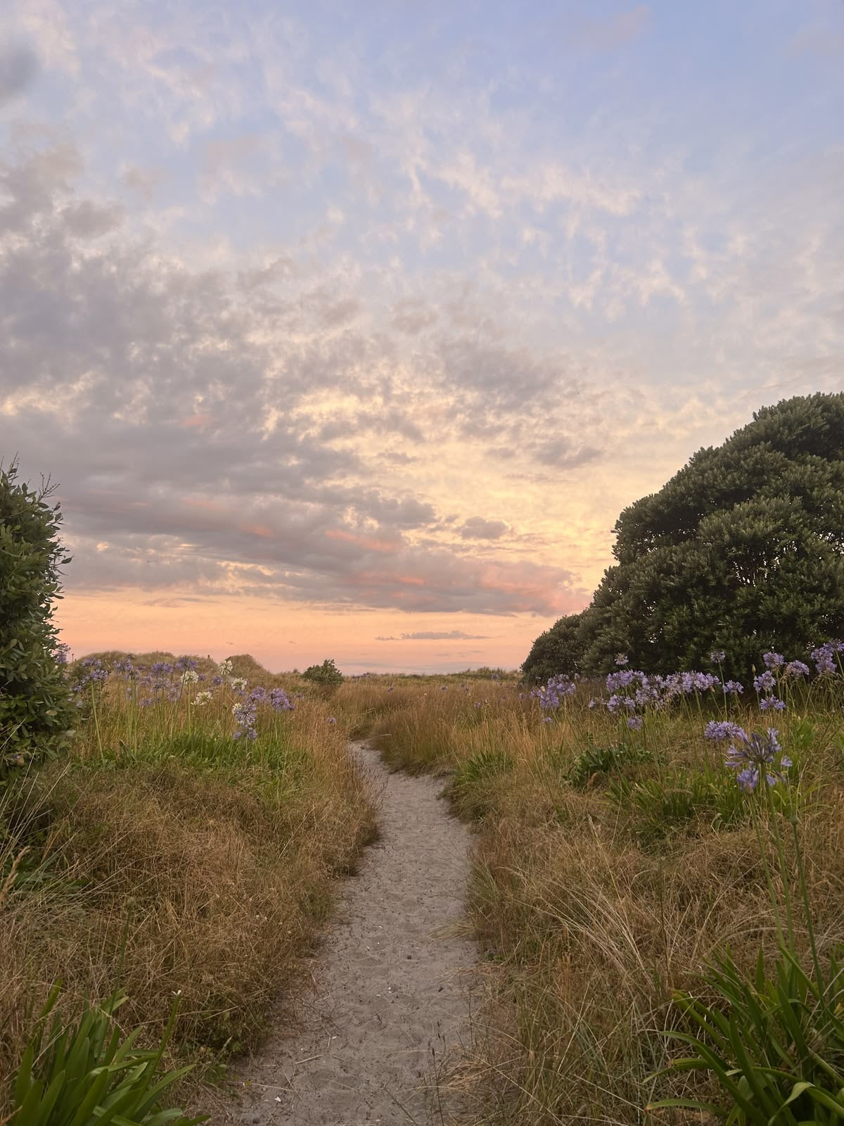 Wildflower path in Portugal inspired by nature, stories and seasonal living