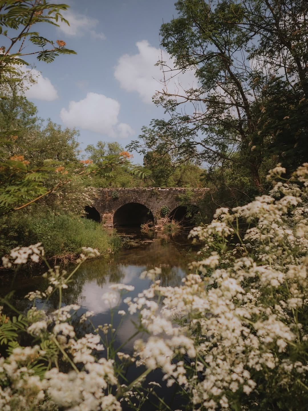 Ancient stone bridge crossing a river in thecountryside