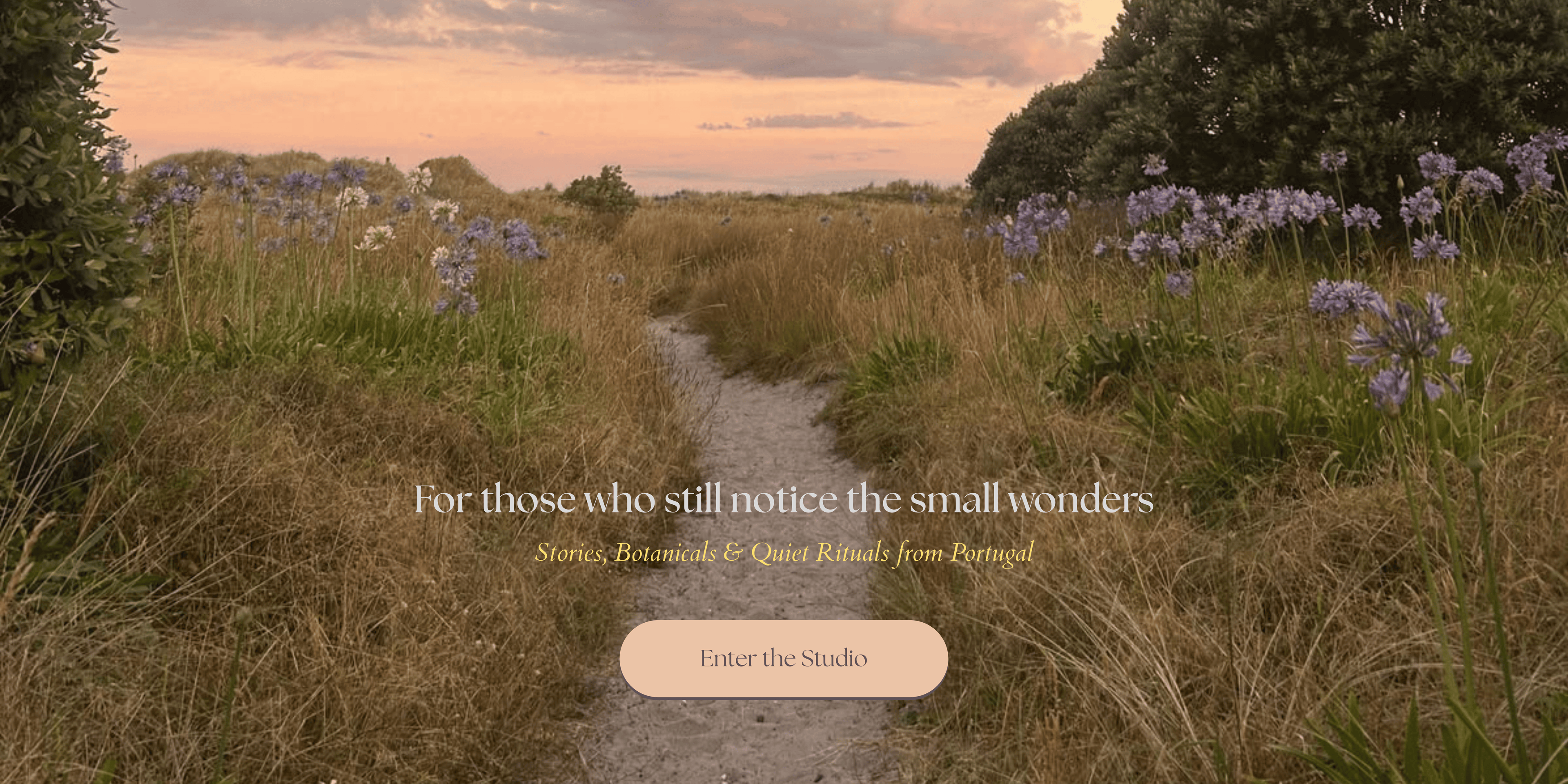 Path through wildflowers in the Portuguese landscape at sunset